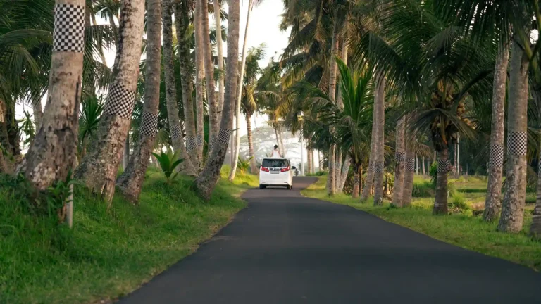 Supir Alphard Bali sebagai Local Guide: Panduan Lengkap