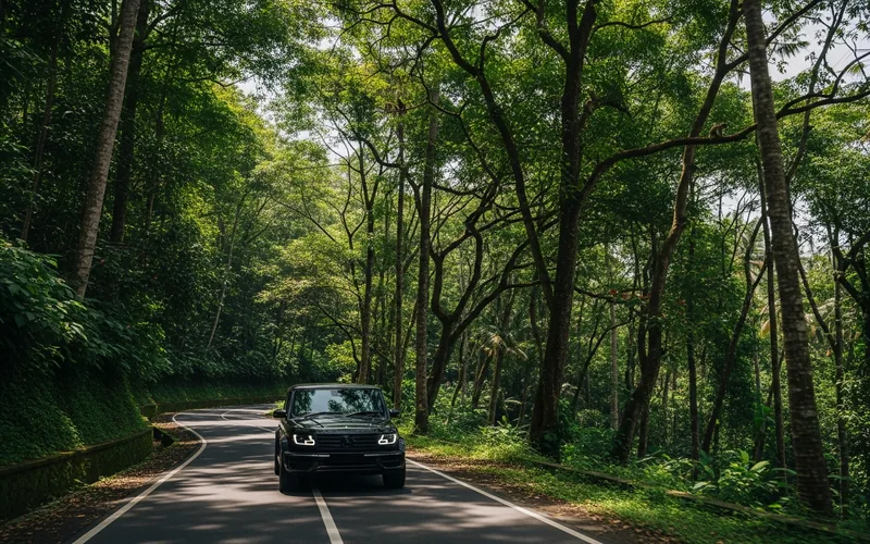 Toyota Alphard di jalan Ubud hutan tropis